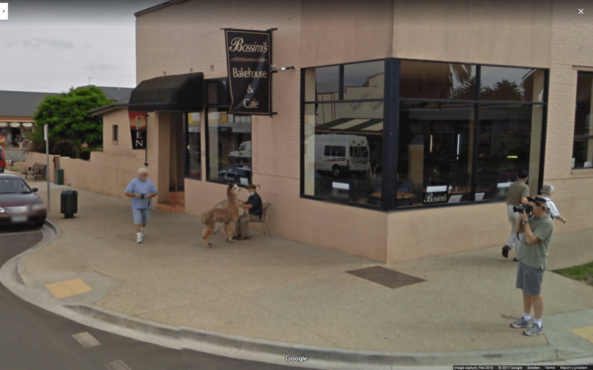 Google maps reveals shocking and bizarre street view images